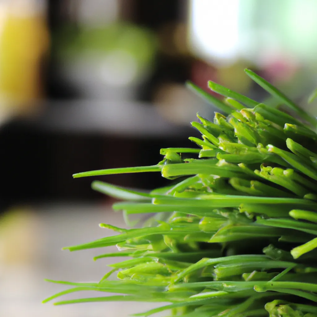 Szczypiorek wartości odżywcze: Aromatyczny dodatek do potraw