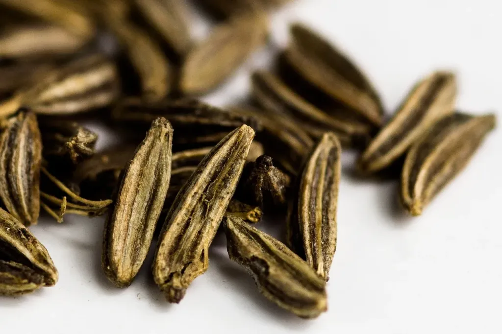 Kumin, czyli kmin rzymski