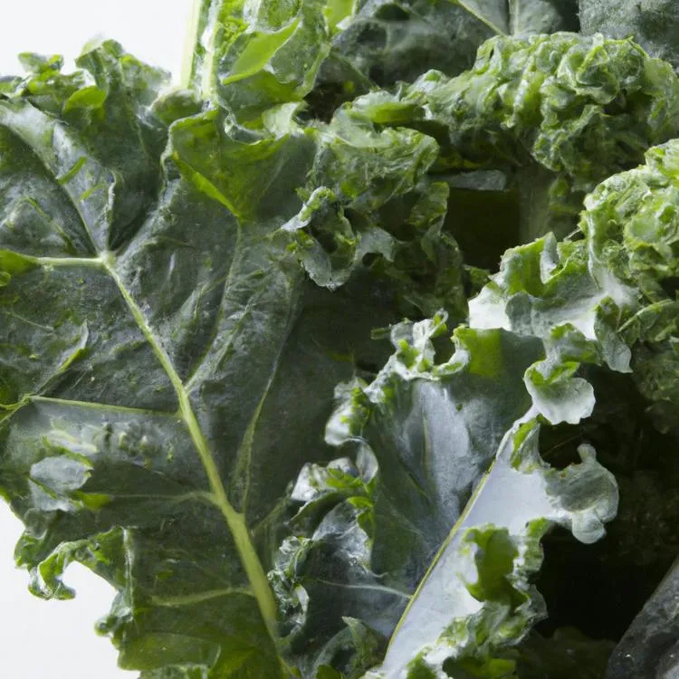 Jak jeść jarmuż — przepisy i porady