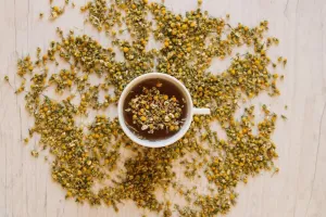 Rumianek – właściwości, działanie i zastosowanie w domu oraz kosmetyce