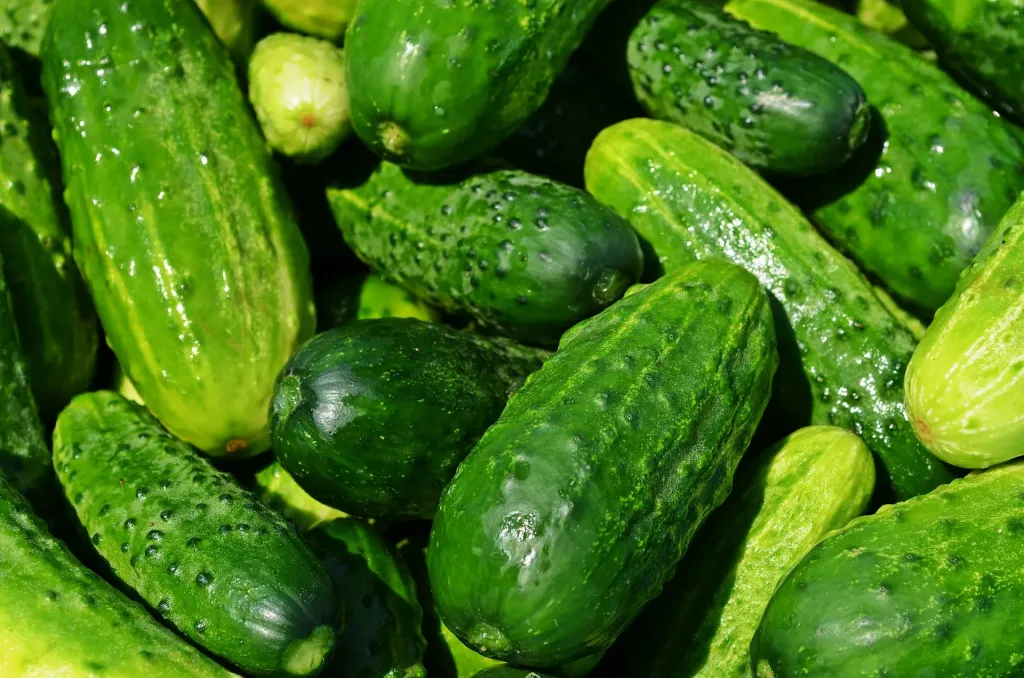 Ile kalorii ma ogórek gruntowy?